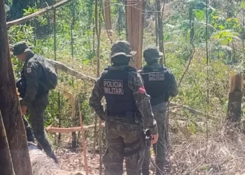 Foto: Agência Pará