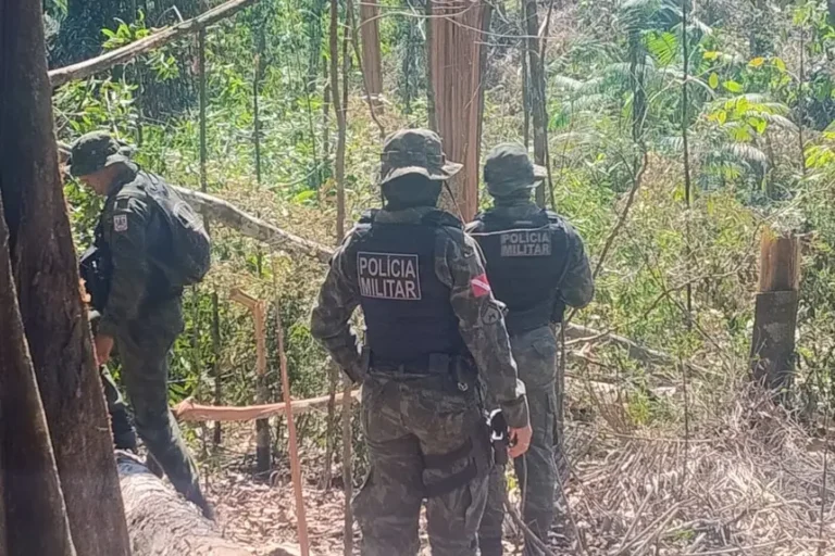 Foto: Agência Pará