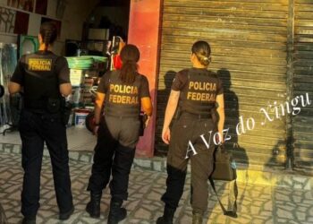 PF deflagra operação contra fraudes no transporte escolar em Brasil Novo (PA)