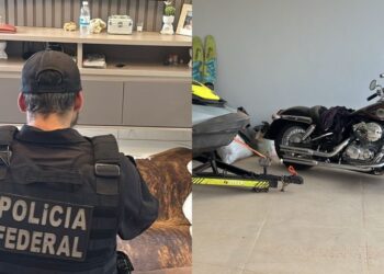 Polícia Federal (PF) cumpre mandados de busca e apreensão no Pará e em Tocantins. — Foto: PF PA