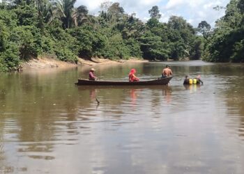 Foto: 9º GBM/Altamira