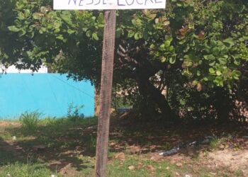 Foto: Sirley de Jesus - A Voz do Xingu