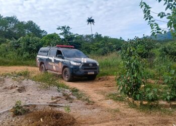 Foto: Divulgação/PC