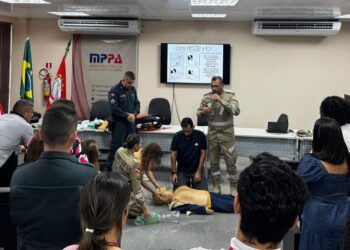 Foto: Divulgação/MPPA