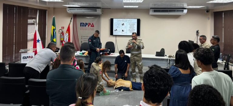 Foto: Divulgação/MPPA