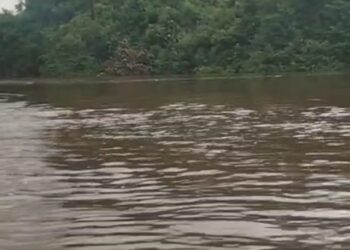 Criança de 7 anos desaparece após mergulhar no Rio Uruará (PA)