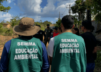 Altamira atinge menor índice de desmatamento em cinco anos