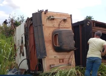 Motorista de carreta morre após veículo tombar com gado na BR-155, no Pará