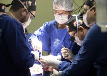 Foto: Agência Pará / Divulgação