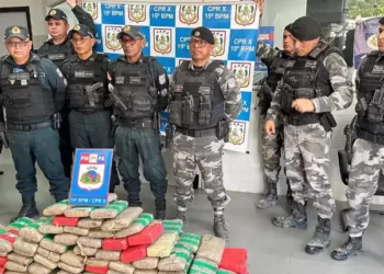 Mais de 175 kg de skunk são apreendidos dentro de carro em Itaituba. (Foto: Polícia Militar)