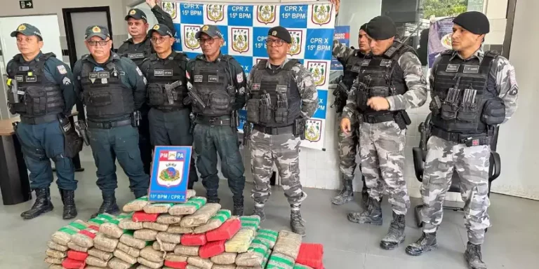 Mais de 175 kg de skunk são apreendidos dentro de carro em Itaituba. (Foto: Polícia Militar)