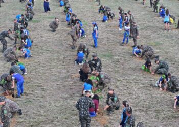 Foto: 51º BIS / Divulgação