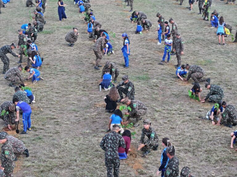 Foto: 51º BIS / Divulgação