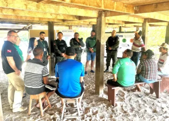 Foto: Agência Pará / Divulgação