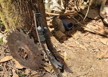 Dupla é presa pela Polícia Civil por crime ambiental em Brasil Novo (PA)