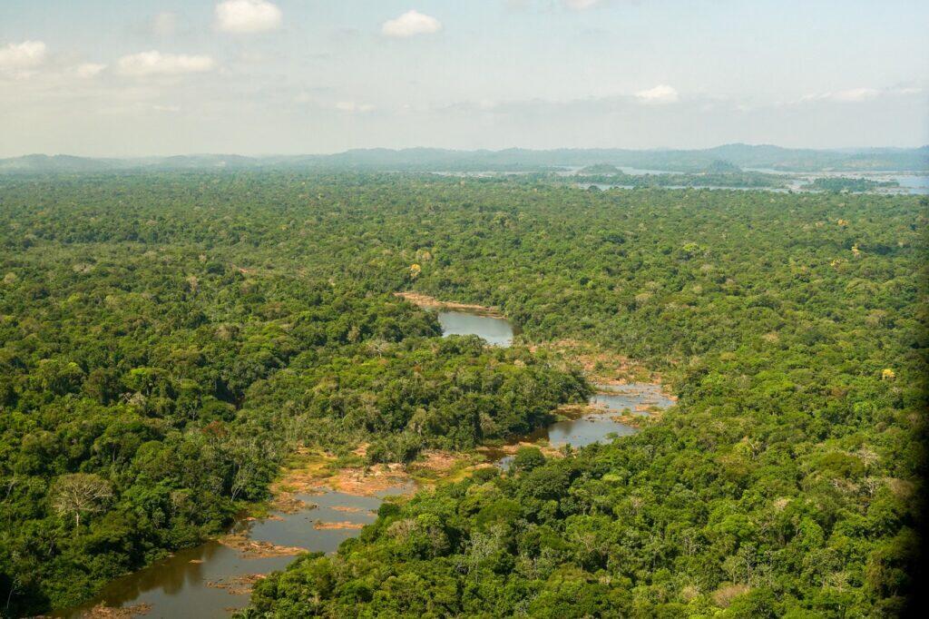 Foto: Divulgação / Norte Energia