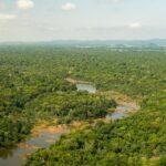 Altamira registra menor índice de desmatamento da história