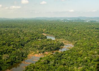 Foto: Divulgação / Norte Energia