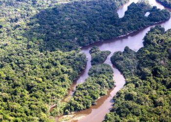 Pará reduz em mais de 90% os focos de incêndio florestal em agosto de 2025