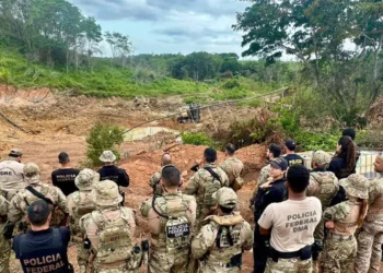Cinco garimpos ilegais de ouro são fechados pela PF no nordeste do Pará. (Foto: Polícia Federal)