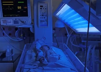 Foto: Agência Pará / Divulgação