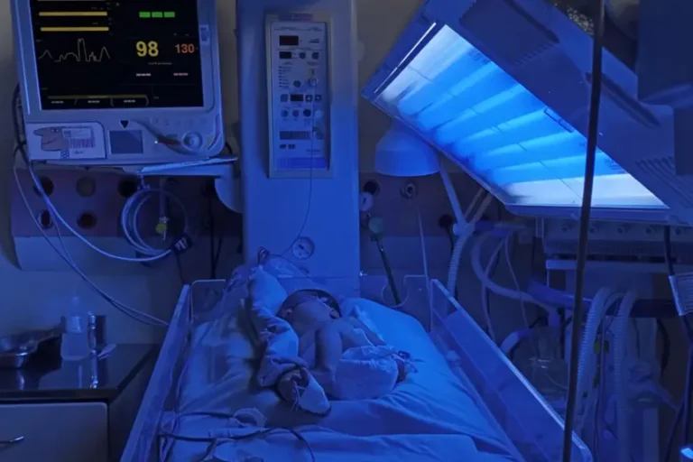 Foto: Agência Pará / Divulgação