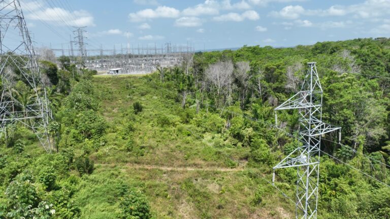 Foto: Equatorial Pará / Divulgação