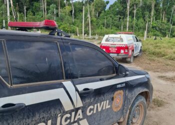 Homem é preso suspeito de abusar da enteada em Senador José Porfírio (PA)