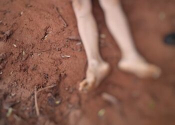 Jovem de 18 anos é achado morto em travessão da zona rural de Altamira (PA)