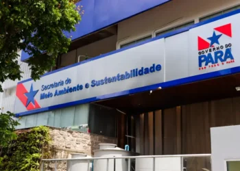 Semas anuncia Processo Seletivo Simplificado com vagas para diferentes áreas