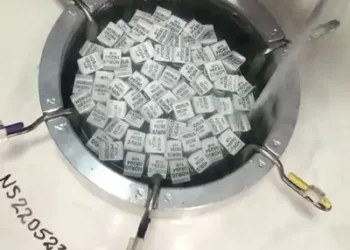 Sedap repassa 6 mil doses de material genético para impulsionar a pecuária na Região do Xingu