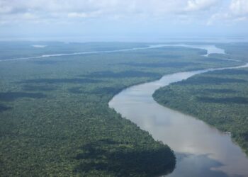 Foto: Agência Pará / Divulgação