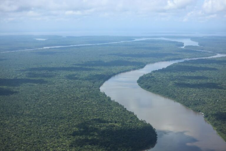Foto: Agência Pará / Divulgação