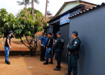 Megaoperação combate furto de energia em Medicilândia: proprietária de geleira é presa em flagrante