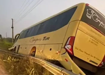 Ônibus do serviço de Tratamento Fora do Domicílio (TFD) perdeu a direção e caiu fora da pista da PA-124. (Reprodução Redes Sociais)