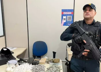 Apenas em 2025, ações da DRFC já resultaram em 160 prisões em todo o estado. (Foto: PM/ PA)