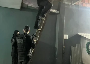 Polícia prende seis pessoas em ação de combate ao tráfico, comércio ilegal de armas e organizações criminosas