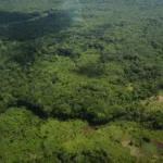 Pará registra queda histórica de 85% nos focos de queimadas entre julho e setembro de 2025