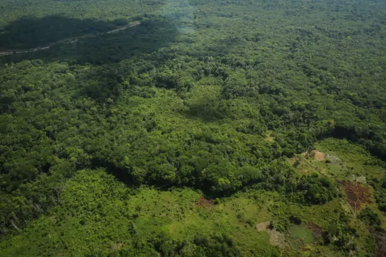 Foto: Rodrigo Pinheiro/ Ag. Pará