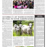 Edição 215: Jornal A Voz do Xingu