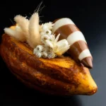 Produção de cacau do Pará ganha destaque no Salão do Chocolate de Paris