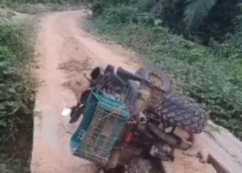 Foto: Brasil Novo Notícias