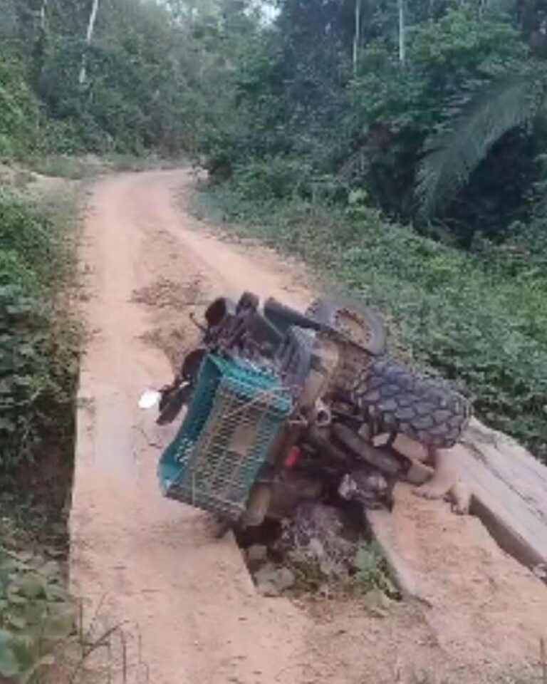 Foto: Brasil Novo Notícias