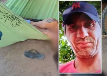 Trabalhador rural é encontrado morto com corte na nuca em Uruará, no sudoeste do Pará. (Reprodução)