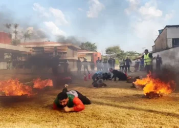 Foto: Agência Pará / Divulgação