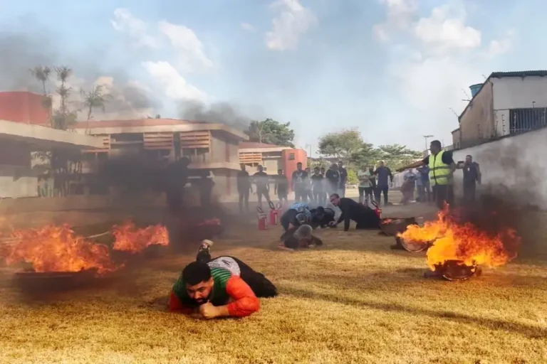 Foto: Agência Pará / Divulgação