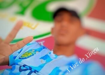 Castanha-do-Pará é reconhecida como patrimônio cultural imaterial do Estado