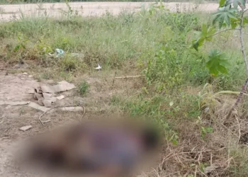 Local onde o crime aconteceu - foto: reprodução do Gazeta Real