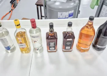 Foto: UFPR/Divulgação