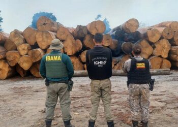 Ibama, ICMBio e Força Nacional atuam de forma conjunta em Rurópolis (PA) - Foto: Divulgação/Ibama